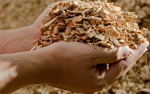The Making of Wood Panels: A Sapling