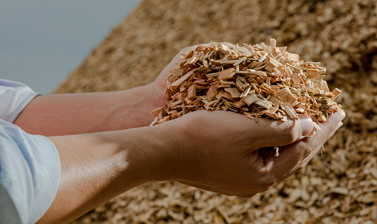 How Engineered Wood Is Shaping the Future of Sustainable Construction in India