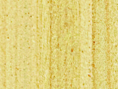 Greenpanel Veneers