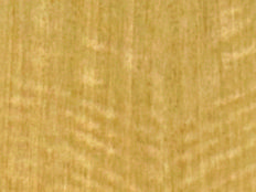 Greenpanel Veneers