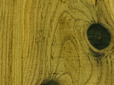 Greenpanel Veneers