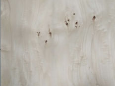 Greenpanel Veneers