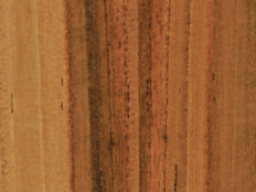 Greenpanel Veneers
