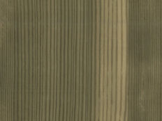 Greenpanel Veneers